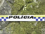 Туристы из Польши погибли на глазах у детей при попытке сделать 