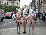 Акция PETA в Лондоне. 11 сентября 2014 года
