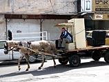 Гужевому транспорту запретили ездить по дорогам