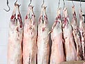 В Ашкелоне уничтожено около двух тонн испорченного мяса