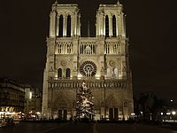 Израильтянин арестован за запуск беспилотника над Собором Парижской Богоматери