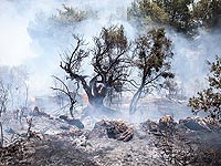 Первая осенняя гроза привела к пожарам в Верхней Галилее
