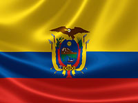 В сектор Газы доставлена гуманитарная помощь из Эквадора