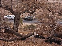 Полиция подозревает поселенцев в нападении на палестинцев в Самарии