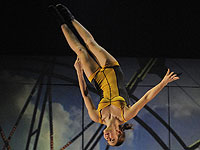 Знаменитый канадский цирк