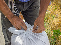 В Кирьят-Ата из инкассаторского грузовика выпал мешок с 400 тысячами шекелей