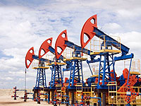 Раздор в OPEC на фоне падения цен на нефть