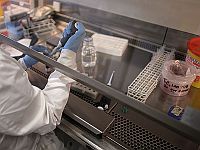 Компании Facebook и Apple оплатят своим сотрудницам заморозку яйцеклеток