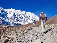 Спасательные работы в Гималаях: обнаружены тела 43 погибших