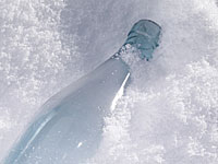 Катастрофа во Внуково: водитель снегоуборочной машины, возможно, был пьян 