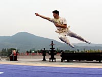 Израильтяне завоевали золотые медали чемпионата мира по традиционным стилям ушу