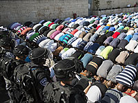 Раскол в израильском обществе. Новый опрос NEWSru.co.il