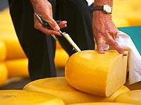 Датская молочная компания раздает не попавшие в Россию сыры бездомным