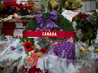 Зихаф-Бибо, убивший солдата в Оттаве, в 2011 году просил посадить его в тюрьму