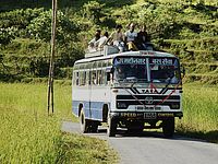 СМИ: в автокатастрофе в Непале погибла израильтянка
