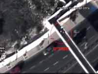 Полиция опубликовала видео задержания 