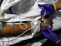 В Египте за два дня зафиксированы две смерти от птичьего гриппа