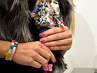 Американцы создали 