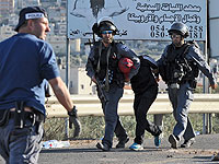 Новая волна террора: демократия или безопасность. Опрос NEWSru.co.il