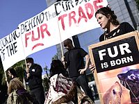 В Тель-Авиве отметили 