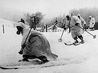 75 лет назад началась война СССР и Финляндии