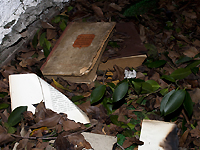 Акт вандализма у синагоги: сожжены сочинения Достоевского и очерки по истории литературы