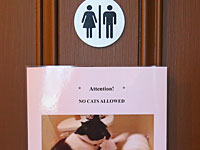 Беременная истица утверждает, что ее уволили за частое посещение туалета