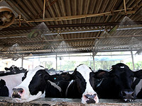 Израильская компания в сфере сельхоз-хайтека продана за $250 млн