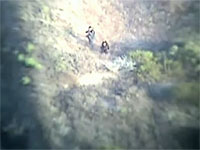 ХАМАС опубликовал 