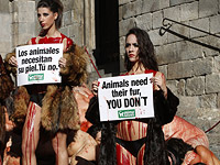 Акция активистов группы AnimaNaturalis. Барселона, 7 декабря 2014 года