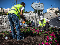 Отношение к местным органам власти и рейтинг мэров. Итоги опроса