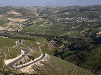 Иордания направляет дополнительные войска на сирийскую границу