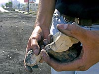В районе Масличной горы в Иерусалиме автобус подвергся 