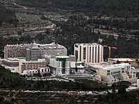 Маленький палестинец перенес сердечный приступ на пограничном переходе 