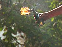 В Иерусалиме неизвестные бросили бутылку с зажигательной смесью в жилой дом