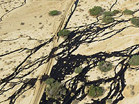 Черные реки долины Арава