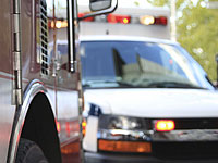 К Новому году Дубай получил самую большую в мире 