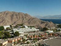 Израильтянин Андрей Пшеничников вернулся домой из египетской тюрьмы