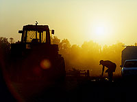 Убытки израильских фермеров от стихийных бедствий в 2014 году составили 250 млн шекелей