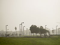 Сильные порывы ветра привели к отключению электричества в одном из районов Нетании