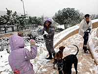 Местные советы на севере Израиля сообщили об отмене занятий в школах