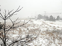 Снежная буря в Ливане, среди погибших – шестилетний сирийский беженец