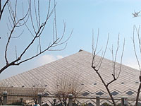 Депутаты-консерваторы сорвали заседание парламента Ирана