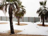 Саудовский богослов: