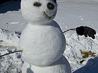 Je suis snowman: саудовцы победили богослова, запретившего снеговики