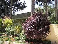 Один из самых дорогих особняков в Иерусалиме продан со скидкой в 50 млн шекелей