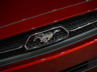 Полиция США разыскивает пожилых супругов, которые отправились покупать 