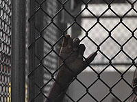 Представитель Саудовской Аравии: 