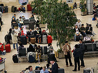 В аэропорту Каира обнаружены два взрывных устройства