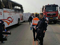 За водителем грузовика, участвовавшим в аварии на шоссе №31, числится 100 нарушений ПДД